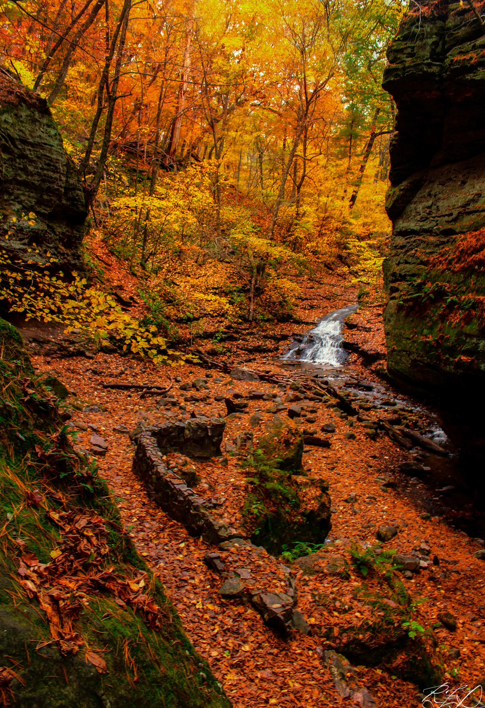 Waterfall surrounded by autumn colored leaves and trees