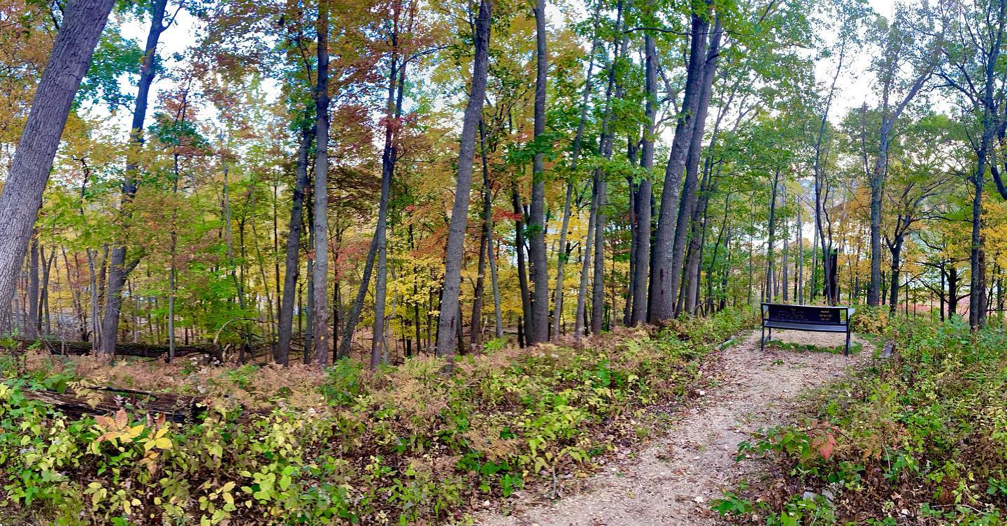 Hiking trail leading to bench in White Mound County Park