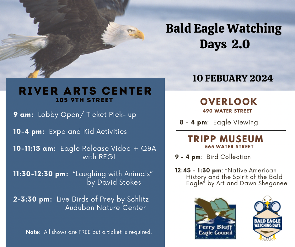 flyer for a bald eagle watching activity