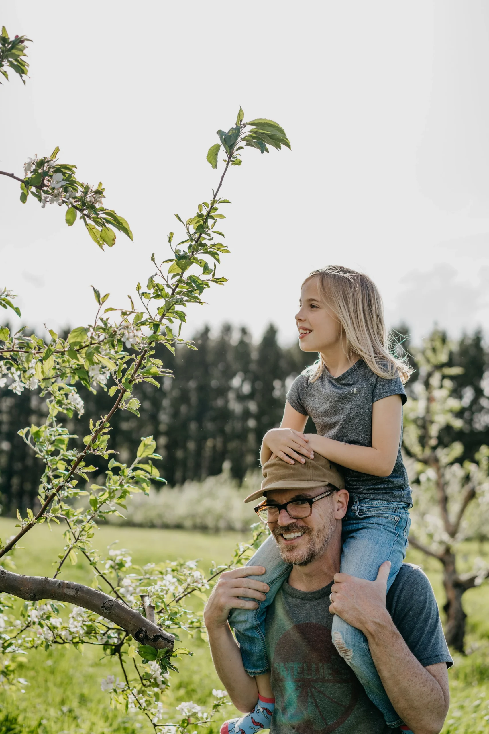 man carrying girl on his shoulders in apple orchard