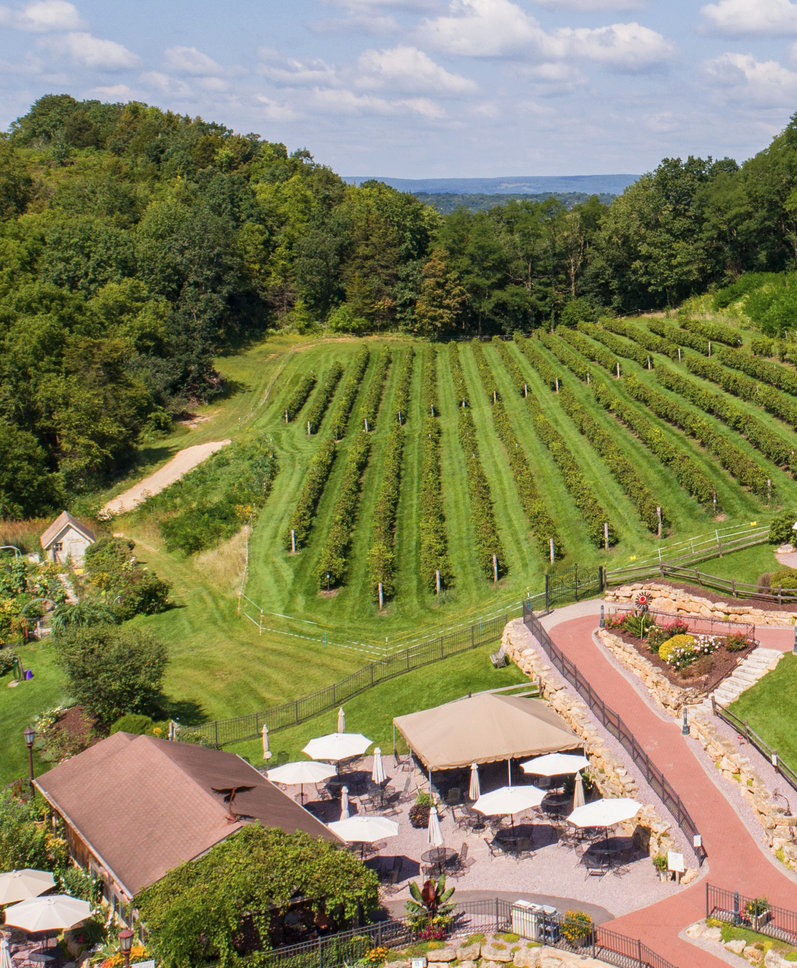 aerial view of vineyard and winery