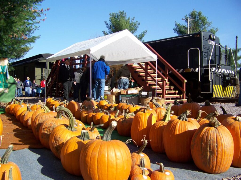 rows of pumpkins in a parking lot next to booths and a train